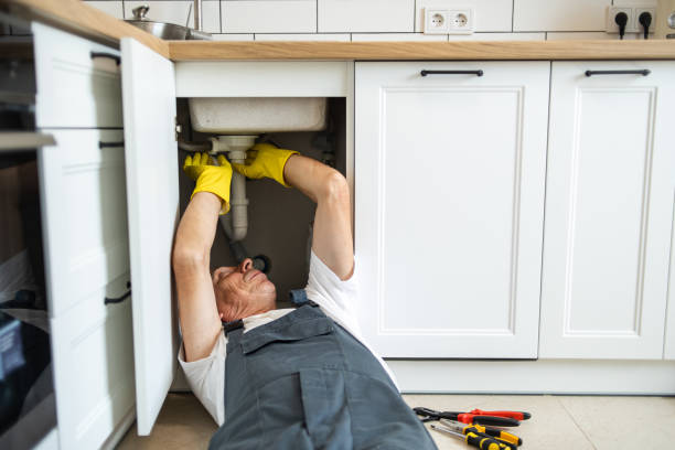 Best Plumbing Inspection Services  in Heyville, AL